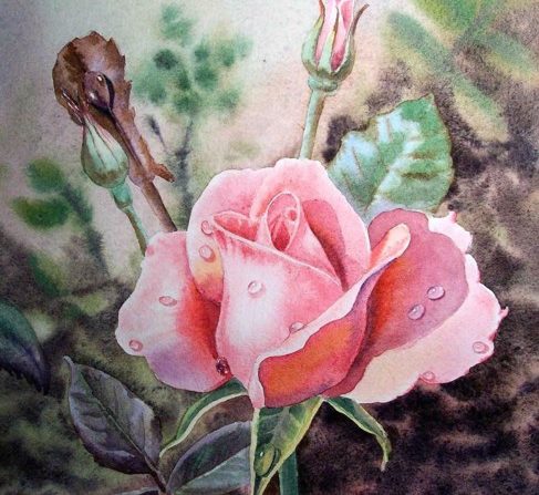 Ý Nghĩa Hình Xăm Hoa Hồng